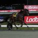 Its Toro Loco’s $125,000 Ladbrokes Classic