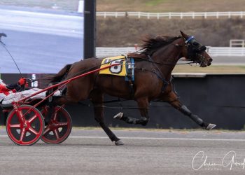 Trick Of The Light all treat no trick