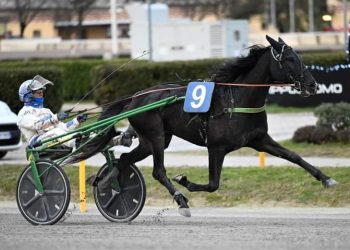 Introducing Dimitri Ferm