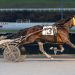 Stardust Volo cruises to victory at sloppy Meadows 2 Stardust Volo cruises to victory at sloppy Meadows