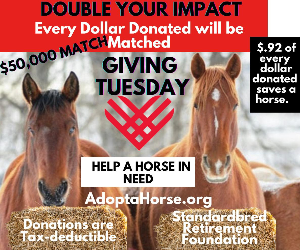 SRF Giving Tuesday match at risk Harnesslink