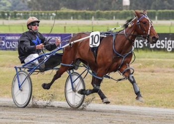 Ten-lot auction ends tonight