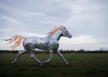 Bidding on 8 lot auction ends Wednesday