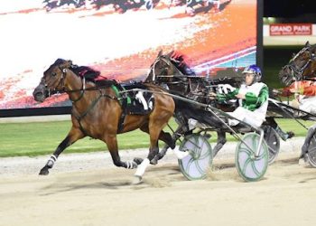 Latest sale online features the McEwan Bloodstock Dispersal