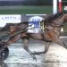 Veteran trotter battles back at Big M