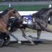Breeders Crown champ super in $173,300 Kindergarten