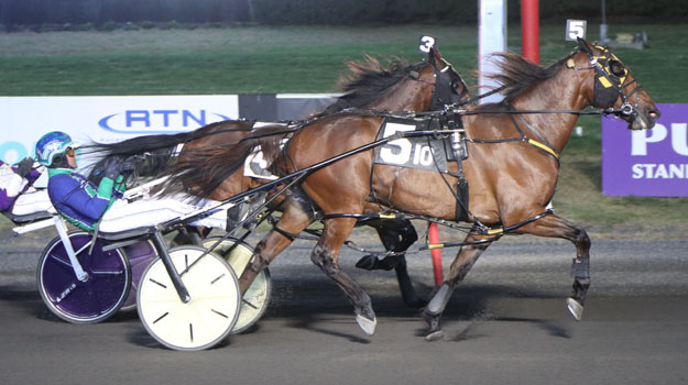 Always B Miki gelding tough in $40,000 Big M Preferred