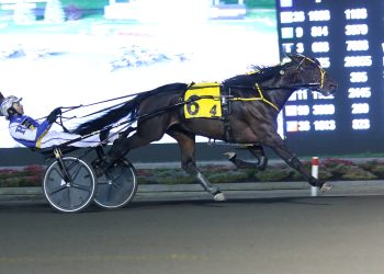 Winbak Farm adds Thunderously to lineup