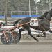 Drew Campbell notches big career milestone win