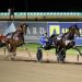 Ideal draw for The Locomotive in Inter Dominion Final