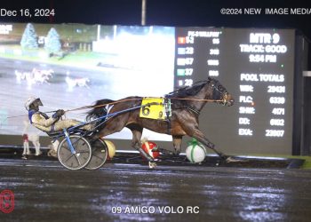 Amigo Volo cruises to Preferred victory