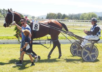 Built For Glory too classy in three year old feature