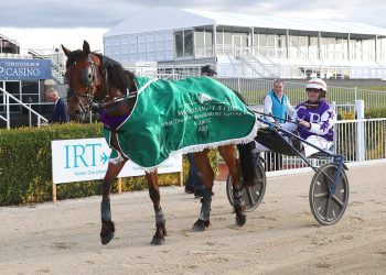 Con Grazia Love ready for Group One again