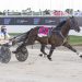 Pacing Cup a stepping stone to a massive 4YO season