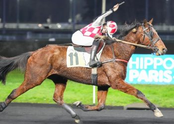 Filou d’Anjou wins Prix Yvonnick Bodin