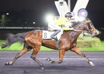 90,000€ monte test held at Paris-Vincennes