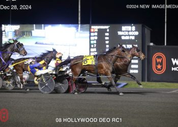 Unbeaten three-year-old wins by a nose again