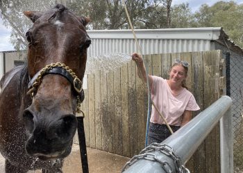 12yo keeps the dream alive with win number 57