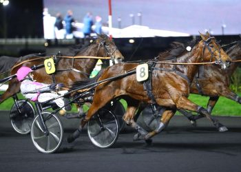 Ilaya rallies to victory at Vincennes