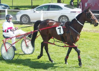 Gutsell hopes for class on grass