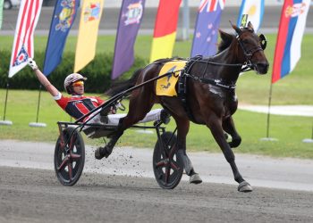 Dan Patch divisional award winners announced