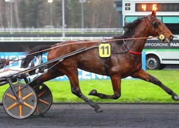 Le Dollar Macker super at Vincennes