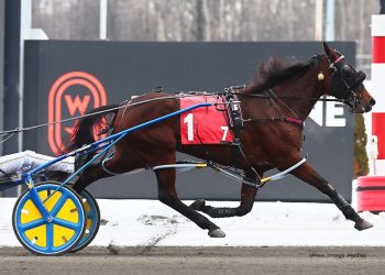 Lifetime best for sophomore filly in $35,200 Niagara final