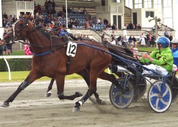 The Mountain delivers