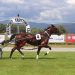 Ottley back at Westport for more success 2 Ottley back at Westport for more success