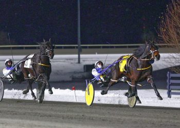 Millar Farms mares dominated Preferred