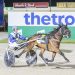 Murphy’s pacing bred mare makes trotting look easy