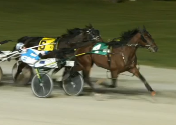 R Royal Port best at Flamboro