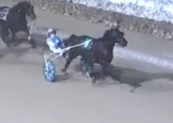 Veteran trotter dominates London feature