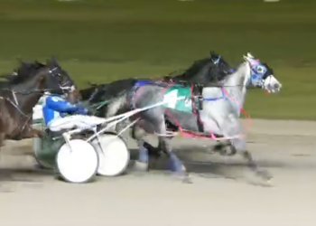 Four-year-old rookie wins third straight