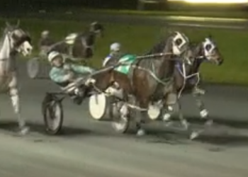 In High Cotton beats top Fraser mares again