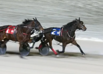 Phoenix fires to Preferred win