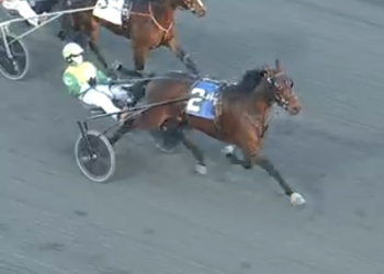 Sweden shipper wins U.S. debut