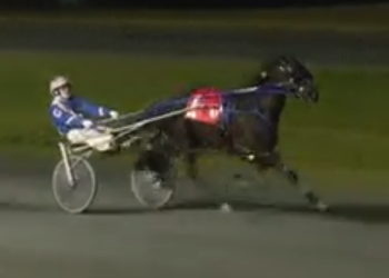 Over Ice stays hot in BC Sale Stake