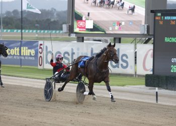 Tact Mcleod readies for Hunter Cup