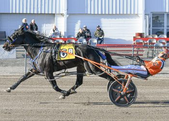 Six-pack for Campbell at Cumberland