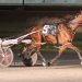 Posts drawn for $250,000 Grand Prix Pacing Series final
