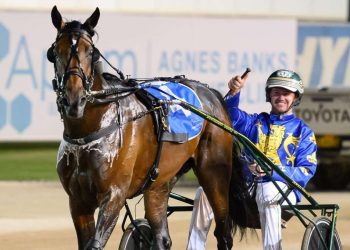 The Locomotive breaks his own record in Inter Dominion Final