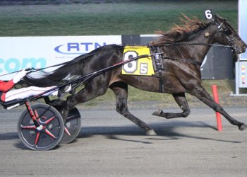 Stakes record shattered in FanDuel Mare Trot