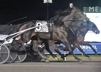 Three-across thriller in $455,000 Goldsmith Maid