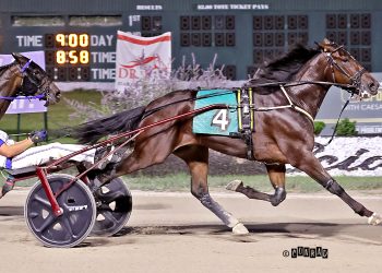 Tennessee Tom earns back-to-back Ohio divisional honors