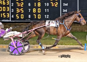 Lt Loverboy named Ohio Two-year-old Trotting Colt of the Year