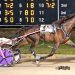 Lt Loverboy named Ohio Two-year-old Trotting Colt of the Year