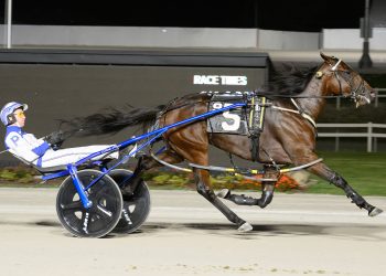 Seaside Diva doubles up in Ohio divisional titles