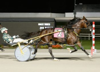 Sippinonsearoc earns Ohio divisional honours