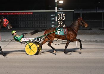 Rising Dover pacer revels in back-to-back wins